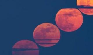 إمتى
هيبقى
القمر
بدر..
اعرف
درجة
إضاءته
فى
هذه
الليلة