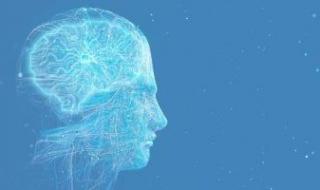 ثورة
الذكاء
الاصطناعى
تثير
مخاوف
الشباب
مع
تزايد
الاعتماد
على
روبوتات
AI
