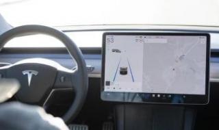36% تراجعاً فى رحلات Robotaxi المدفوعة.. ضغوط متزايدة على إيلون ماسك وتسلا