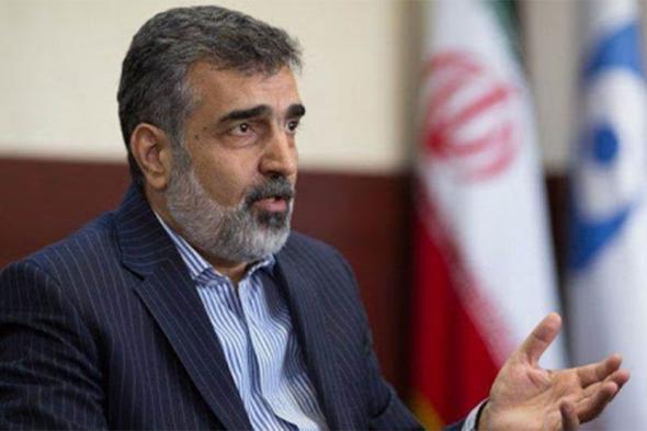تعرض المتحدث باسم الطاقة الذرية الإيرانية لحادث أثناء تفقد محطة نطنز النووية