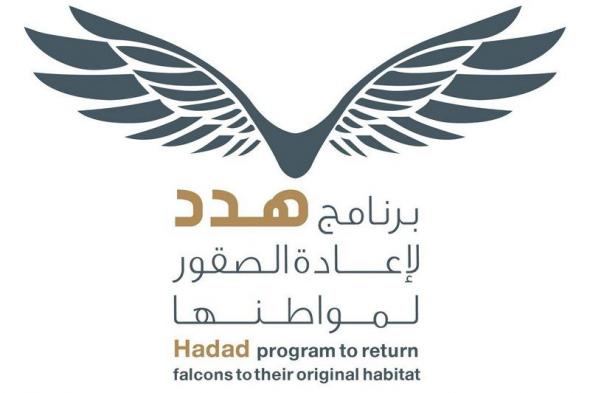 في اليوم العالمي للطيور المهاجرة.. جهود سعودية لإعادة الصقور لمواطنها