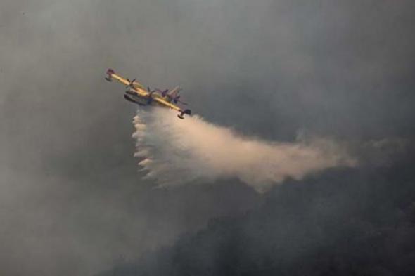 طائرات الإطفاء.. لماذا تخوض الجزائر معركة في حرائق الغابات؟
