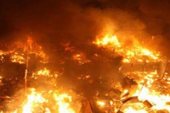 العاهل السعودي يوجه بإرسال مساعدات إنسانية عاجلة للجزائر لمساعدة المتضررين من الحرائق