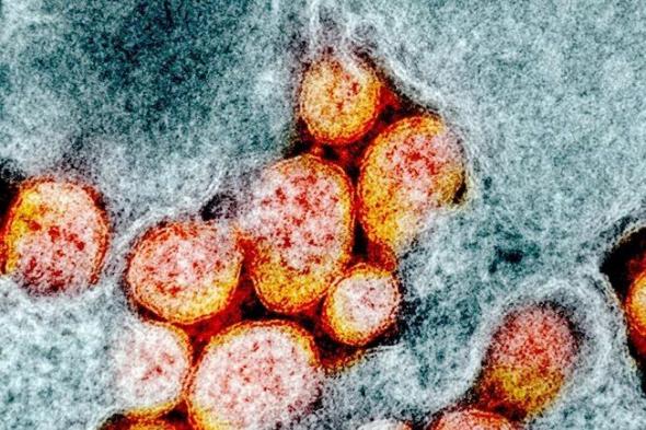 دراسة: العالم على موعد مع وباء جديد.. يشهده مواليد عام 2000