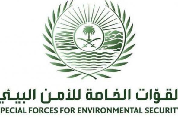 القوات الخاصة للأمن البيئي تضبط 33 مخالفاً لنظام البيئة لقيامهم بنقل الرمال وتجريف التربة