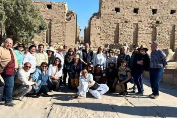 الجاليات المصرية بأمريكا تنظم زيارة للأماكن الأثرية بالأقصر وأسوان (صور)