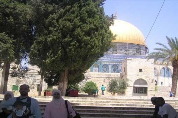 مقتل ما لايقل عن 8 إسرائيليين في الهجوم على مستوطنة النبي يعقوب في القدس