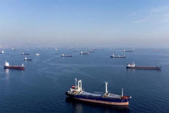 الأمم المتحدة: تمديد اتفاقية تصدير حبوب البحر الأسود لفترة جديدة السبت، 18 مارس 2023 11:18 مـ  