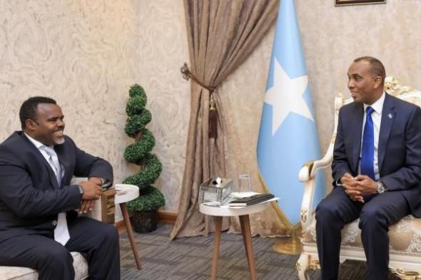 تعاون صومالي إثيوبي.. الحرب ضد الإرهاب وملفات الاقتصاد