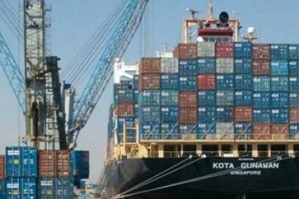 تداول 26 سفينة حاويات وبضائع بميناء دمياط