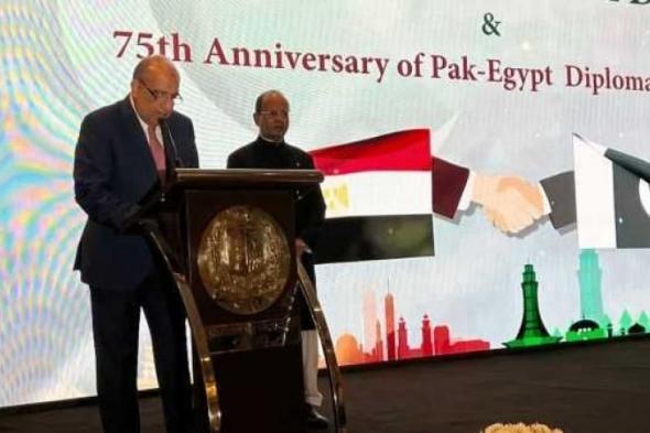 سفير باكستان بالقاهرة: العلاقات مع مصر مبنية على أساس قوى
