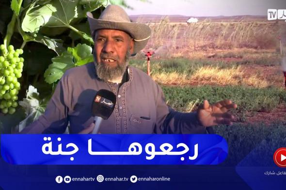 بشار: فلاحو منطقة الكعام يحولون أرض قاحلة إلى فلاحية منجة لمختلف الخضر والفواكه