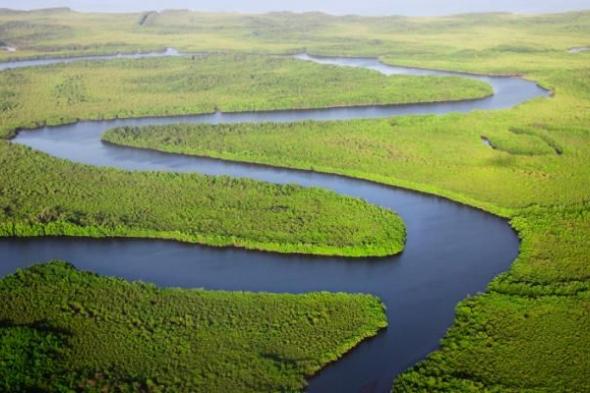غامبيا بمهمة مناخية "مستدامة".. استعادة غابات المانجروف لمصايد الأسماك