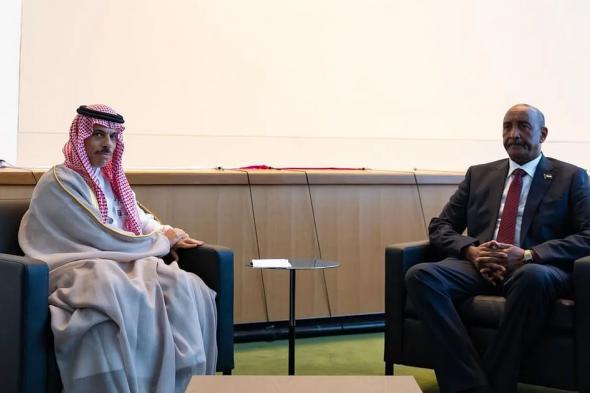 وزير الخارجية يلتقي "البرهان" ويبحثان مستجدات الأوضاع في السودان