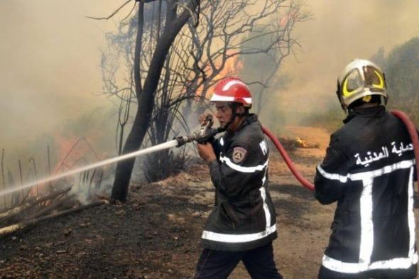 إخماد حريق بمنطقة زغاغدة بإيراقن في جيجل