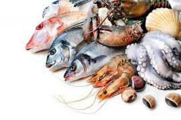 نرصد اسعار الأسماك بسوق العبور اليوماليوم الأربعاء، 27 مارس 2024 09:16 صـ   منذ 40 دقيقة