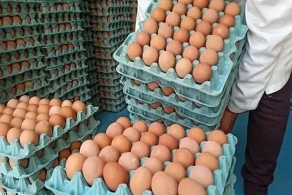 تراجع طفيف في أسعار البيض، ومهنيون يتوقعون استقرار الأثمنة خلال النصف الثاني من شهر رمضان