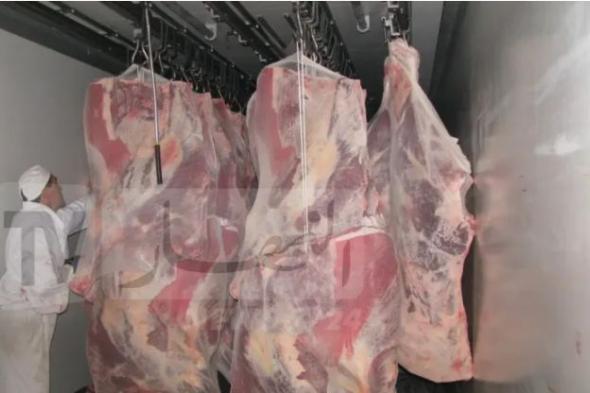 نحو تسقيف هوامش الربح على اللحوم المستوردة