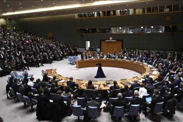 إيران في مجلس الأمن: مارسنا أعلى درجات ضبط النفس ونحفظ حقنا في الرد على إسرائيل
