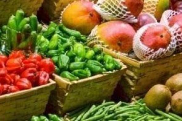 استقرار أسعار الخضراوات والفاكهة بمنافذ وزارة التموين