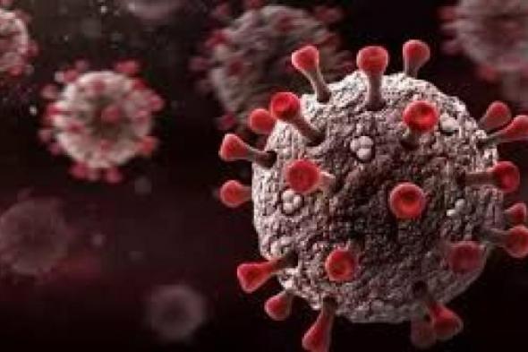 بالبلدي : هل يشكل فيروس كورونا خطرا أكبر للوفاة بين مرضى السرطان؟