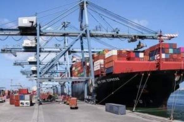 ميناء دمياط يستقبل 42 سفينة متنوعة خلال 24 ساعة
