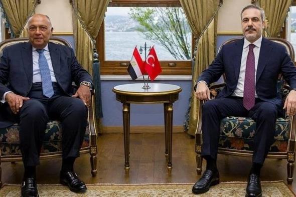 وزير الخارجية المصري من أنقرة: ترتيبات لزيارة السيسي تركيا