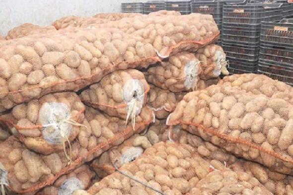 استمرار حظر تصدير البطاطس يثير حفيظة مهنيين مغاربة، وسط تهديدات بوقف الإنتاج
