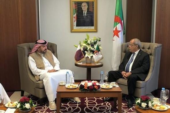 عون يبحث مع رئيس مجلس إدارة شركة "بلدنا" القطرية تعزيز الشراكة في المجال الصناعي