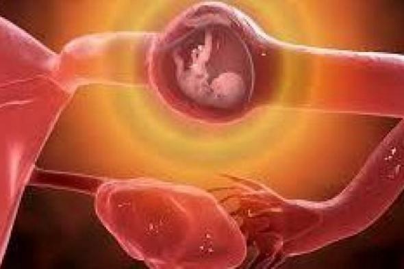 بالبلدي : الحمل خارج الرحم| تعرف على عوامل الخطورة.. وإمكانية العلاج