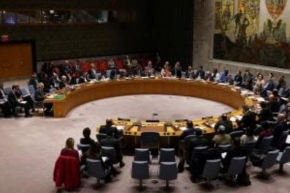 سوريا:الغرب يواصل منع مجلس الأمن من وقف حرب الإبادة فى غزة