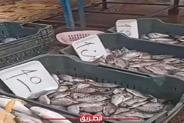 بعد الأسماك.. رواد التواصل الاجتماعي يدشنون حملة لمقاطعة سلعة غذائية جديدةاليوم الجمعة، 26 أبريل 2024 09:45 مـ