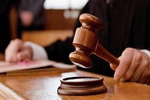 نظر محاكمة 14 متهما في قضية “خلية المرج”.. السبت
