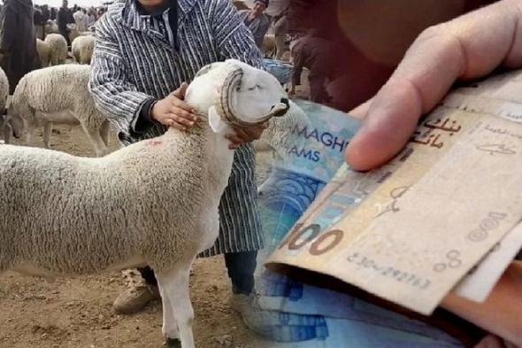 “حماة المستهلك” يطالبون بإلغاء عيد الأضحى لإنقاذ المغاربة من “الضربة القاضية”