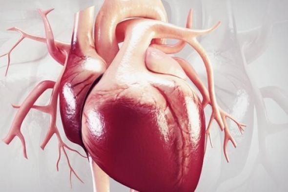 ضوضاء المرور تزيد من خطر الإصابة بأمراض القلب والأوعية