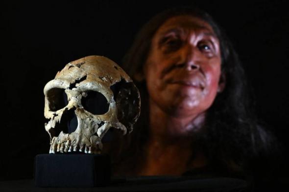 إعادة تكوين رأس امرأة عاشت قبل 75 ألف عام في العراق