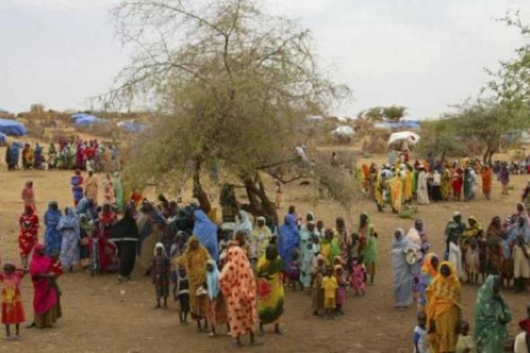 الأمم المتحدة تحذر من خطر المجاعة والموت في دارفور