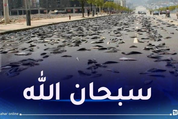 مشهد غريب.. السماء تمطر سمكا في إيران!
