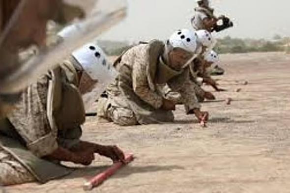 «مسام» ينتزع 1.139 لغمًا في الأراضي اليمنية خلال أسبوع