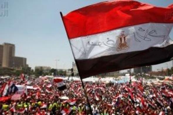 برلمانى: 30 يونيو أنقذت الوطن ومخططات الإخوان لن تنجح بفضل وعى المصريين