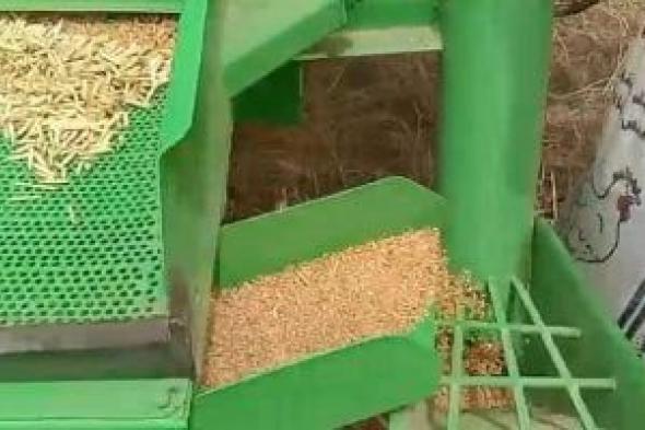 تعرف
على
دور
التبن
فى
حماية
الجذور
من
التقلبات
المناخية..
تفاصيل