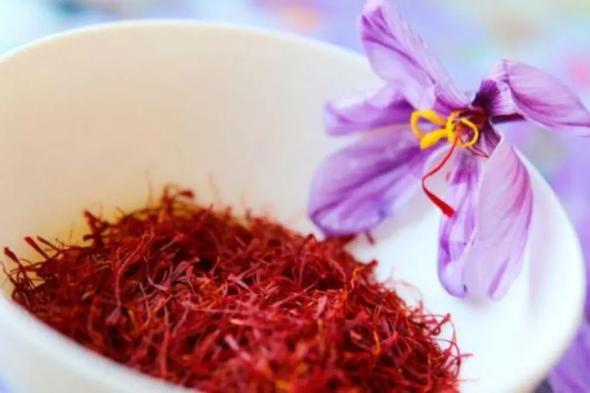 من المطبخ إلى العلاج.. كيف يؤثر الزعفران على أعراض باركنسون؟