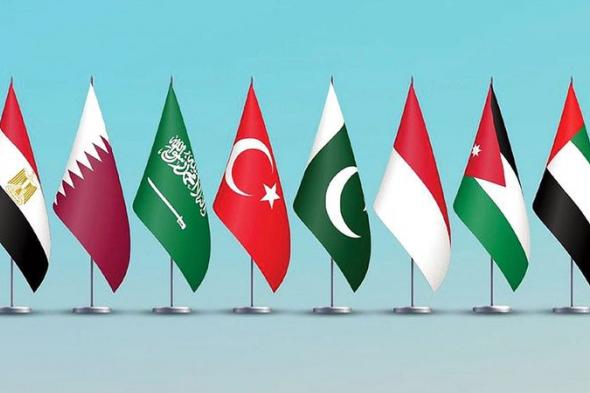 الإمارات و7 دول عربية وإسلامية تطالب بإدخال فوري للمساعدات الإنسانية إلى غزة