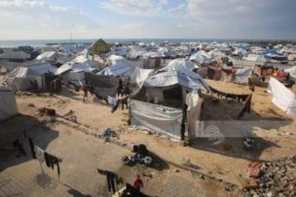 غادة
البدوى
ترحب
بالدور
المصرى
فى
نجاح
الانتقال
للمرحلة
الثانية
من
اتفاق
شرم
الشيخ
بغزة