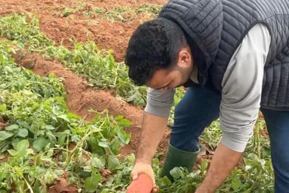 بالبلدي
      :
      الشغف
      قبل
      الربح..
      قصة
      فلاح
      شاب
      من
      دكالة
      بنى
      نجاحه
      من
      الأرض
      (فيديو)