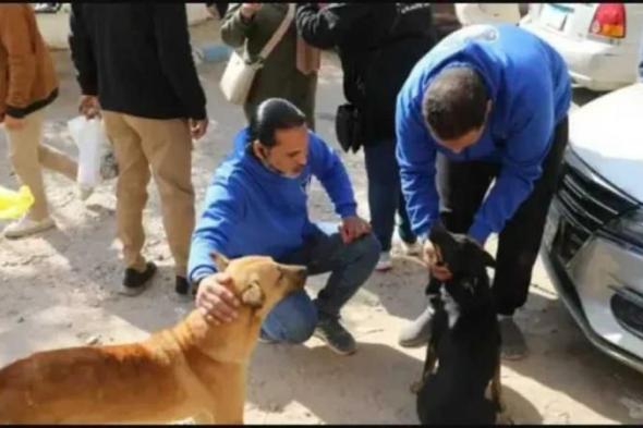 الغردقة
      تكافح
      الكلاب
      الضالة
      بعد
      تزايد
      شكاوي
      السكان