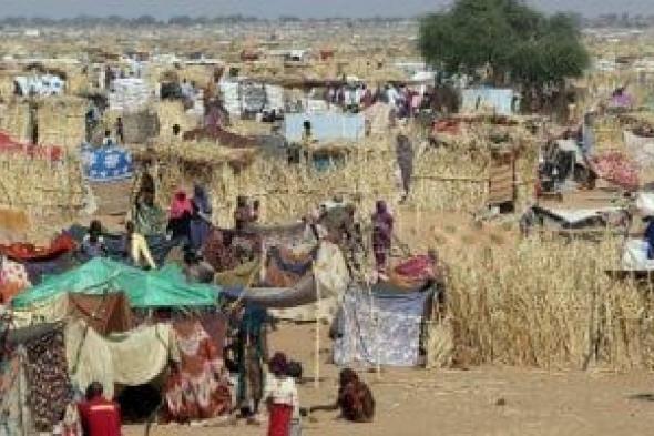 مسؤولة
أممية:
أطفال
السودان
يعيشون
على
حافة
الهاوية
ويحتاجون
اهتمام
دولي
عاجل