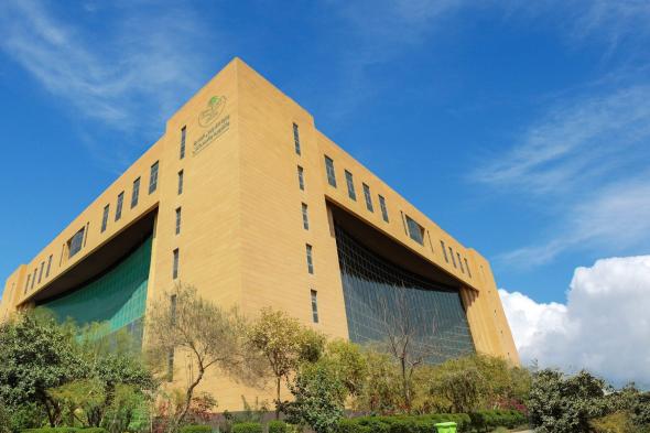 البلديات
والإسكان:
نقلات
تنظيمية
وتمكينية
نوعية
في
ملف
الباعة
الجائلين
خلال
2025