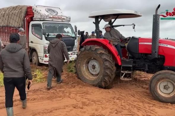 بالبلدي
      :
      “نقمة
      الطريق
      تفسد
      نعمة
      المطر”..
      صرخة
      فلاحين
      بدكالة
      لفك
      العزلة
      وإنقاذ
      المحاصيل
      (فيديو)