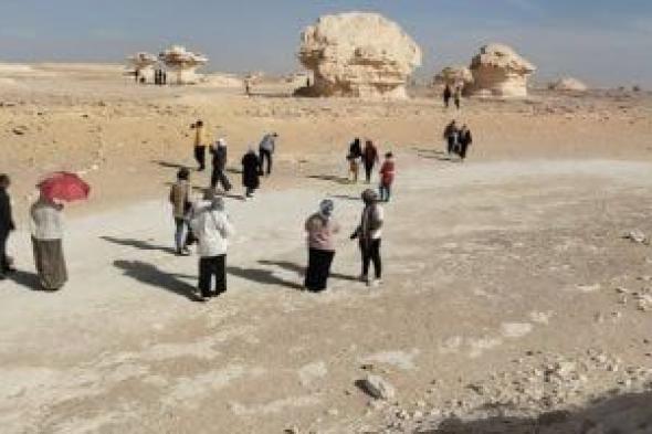 الشباب
والرياضة
بالوادى
الجديد:
وصول
الفوج
الرابع
من
رحلات
اعرف
بلدك